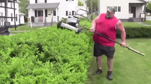 Gif content